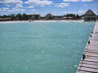 IMG_3486.jpg