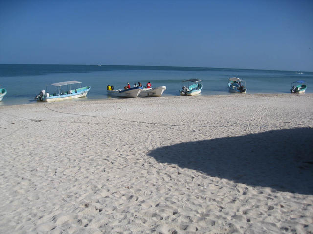 IMG_2432.jpg