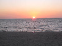 IMG_2457.jpg