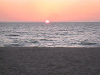 IMG_2461.jpg