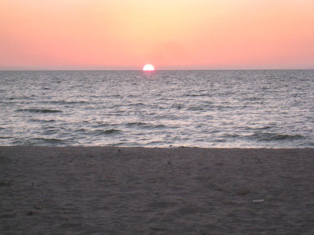 IMG_2461.jpg