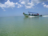 IMG_2531.jpg