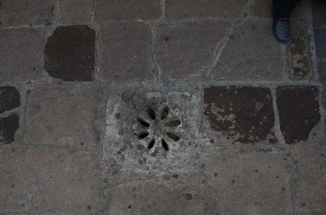 D7K_4185.jpg