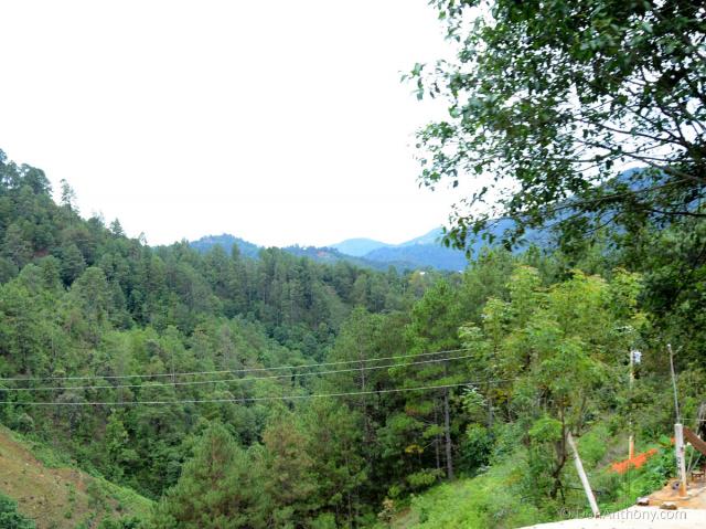 D7K_4911.jpg