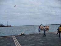 IMG_1653.jpg