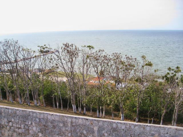 IMG_3114.jpg